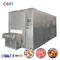 Iqf Εγχειριστήριο ψυγείου με γρήγορη σήραγγα Παγωμένα φρούτα λαχανικά εξοπλισμός παραγωγής τροφίμων