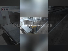 2 τόνων/ώρα υπόγεια αποθήκη για ταχεία κατάψυξη